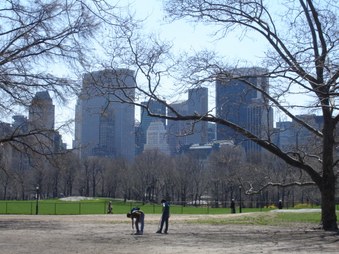 Enlarge photo 3