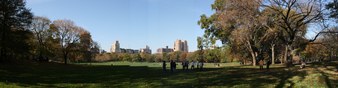 Sheep Meadow