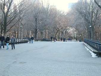 The Mall