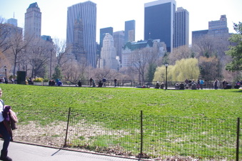 Wollman Rink Promenade Area