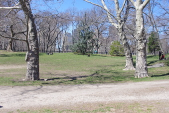 Enlarge photo 7