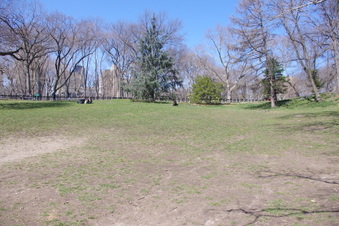Enlarge photo 10