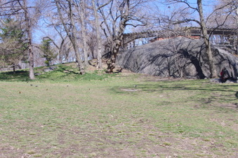 Enlarge photo 13