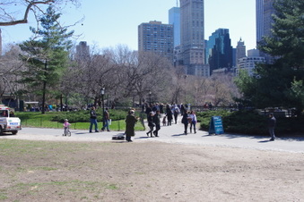 Enlarge photo 14