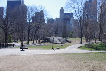 Enlarge photo 15