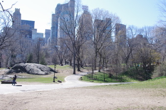 Enlarge photo 19