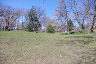 Enlarge photo 20