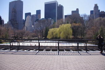 Enlarge photo 24