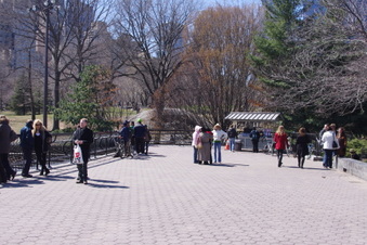 Enlarge photo 25