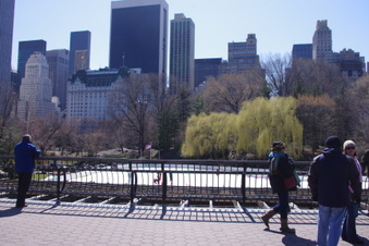 Enlarge photo 26