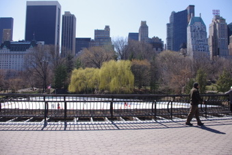 Enlarge photo 28