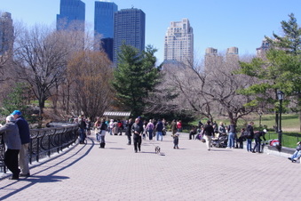 Enlarge photo 31