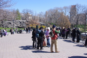 Enlarge photo 32