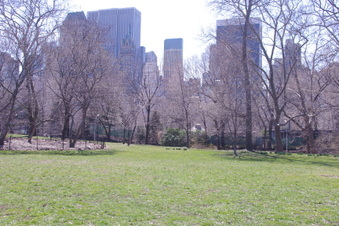 Zoo Road Area