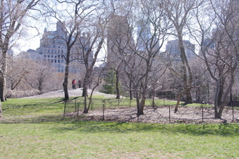 Enlarge photo 7