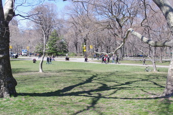 Enlarge photo 13