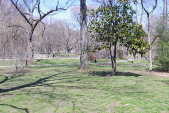 Enlarge photo 14