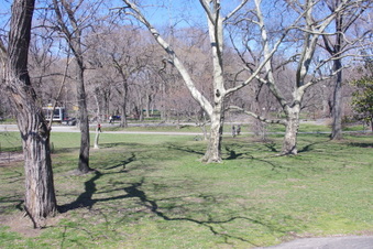 Enlarge photo 19