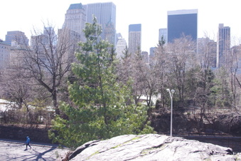 Enlarge photo 20