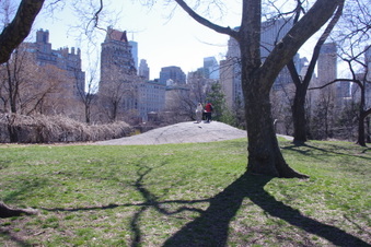 Enlarge photo 21