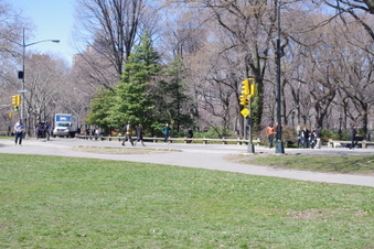Enlarge photo 22