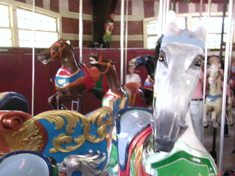 Enlarge photo 15