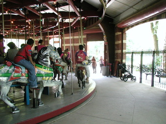 Enlarge photo 35
