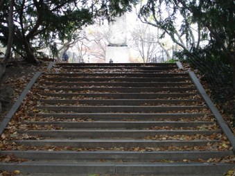 Central Park 