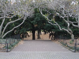 Enlarge photo 6