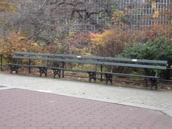 Enlarge photo 46