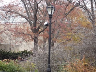 Enlarge photo 47