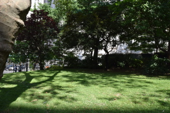City Hall Park