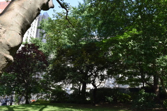 Enlarge photo 2