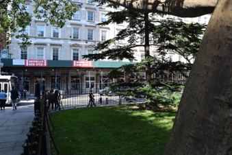 Enlarge photo 3