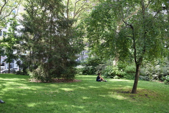 Enlarge photo 10