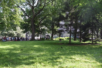 Enlarge photo 12