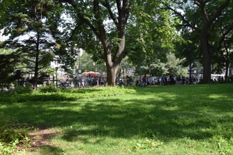 Enlarge photo 13