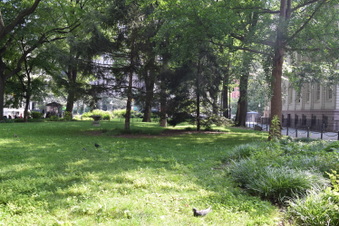 Enlarge photo 14