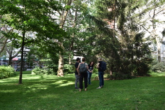 Enlarge photo 20