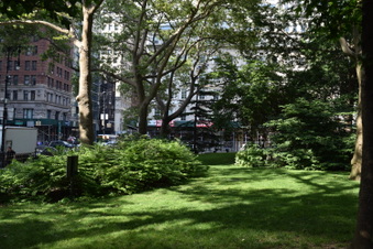 Enlarge photo 21