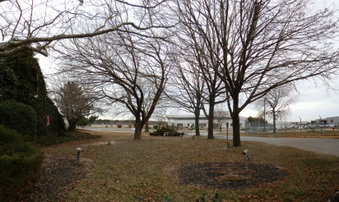 Enlarge photo 4