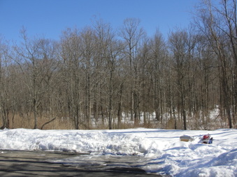 Enlarge photo 12