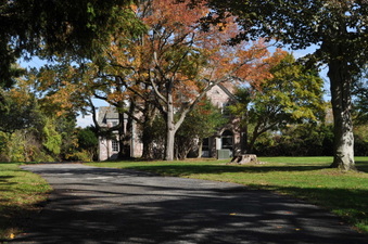 Enlarge photo 11