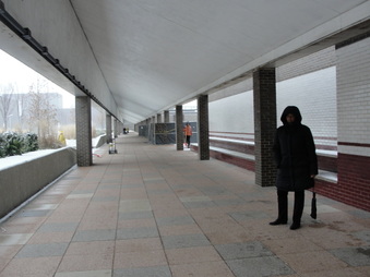 Enlarge photo 49