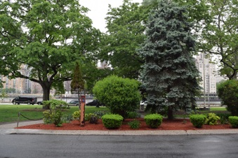 Enlarge photo 45
