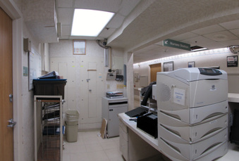 Enlarge photo 6