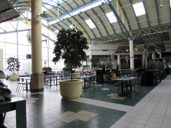 Enlarge photo 47