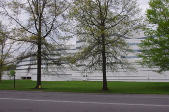 Enlarge photo 151