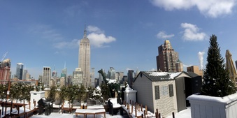 Enlarge photo 86