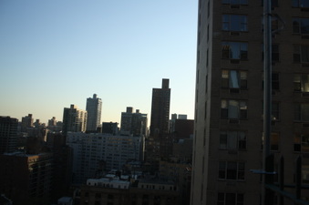 Enlarge photo 41